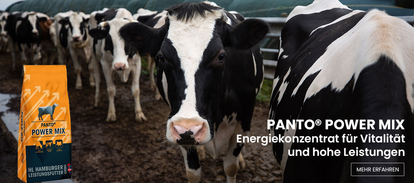 PANTO Power Mix - Energiekonzentrat für Kühe