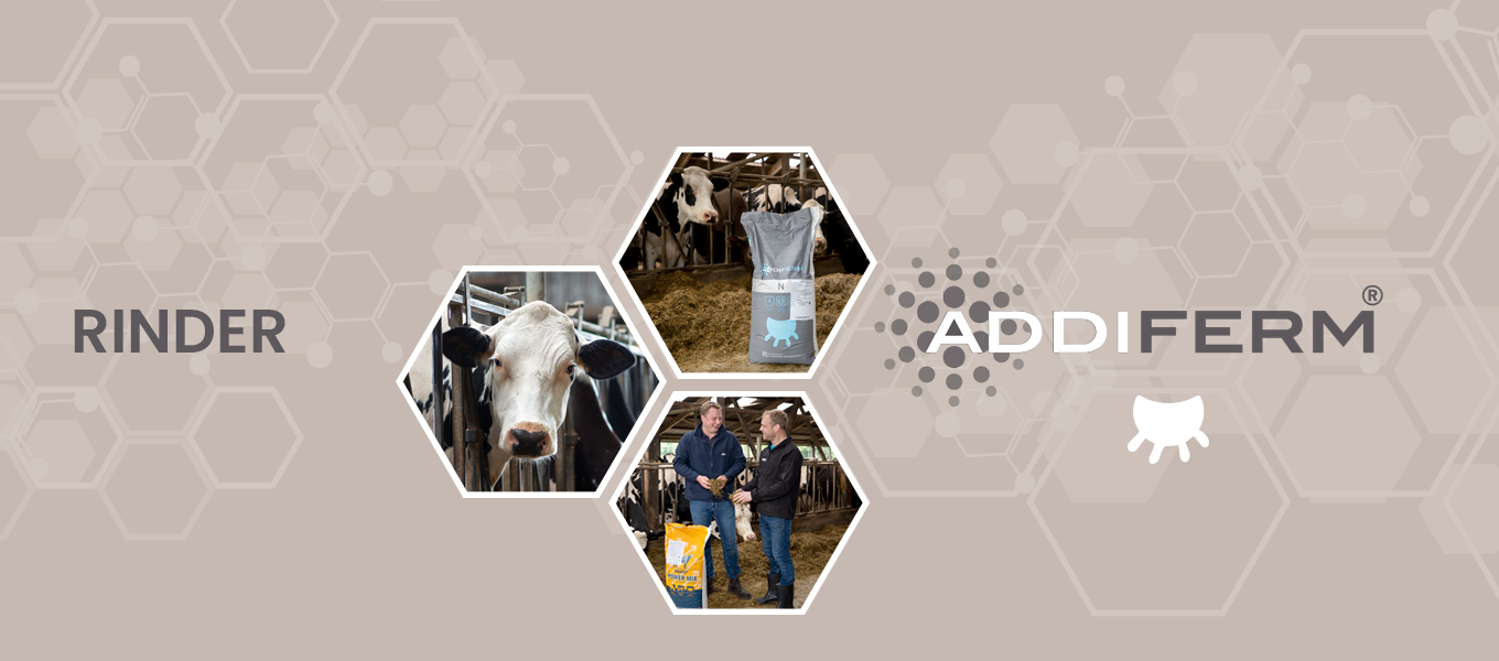 ADDIFERM Produkte für Rinder