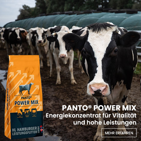PANTO Power Mix - Energiekonzentrat für Kühe