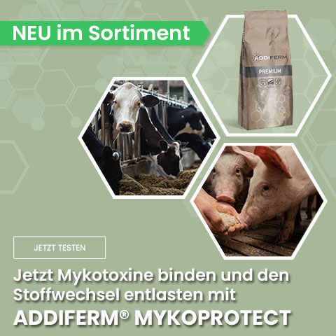 Mykotoxine binden mit Addiferm Mykoprotect